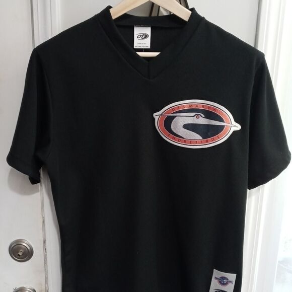 Delmarva Shorebirds Minor League Baseball Jersey - Picture 1 of 6